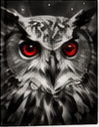 The Owl Folk cover